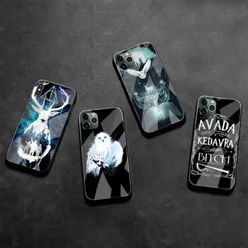 Karikatür Potter Film Tasarım Harries telefon Kılıfı Temperli Cam iPhone 13 12 Mini 11 Pro XR XS MAX 8X7 Artı SE 2020 kapak